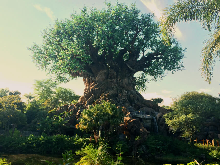 Tree of life - התורים הכי יפים בדיסני וורלד